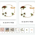 מחזור חיים צב ים