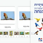 סט כרטיסיות ומיניאטורות- ציפורים