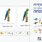 סט כרטיסיות ומיניאטורות- ציפורים אקזוטיות