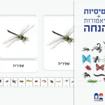 סט כרטיסיות ומיניאטורות- חרקים