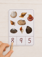 ⁦ערכת מספרים וצדפות – להדפסה ביתית⁩ – תמונה ⁦12⁩