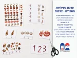 ערכת מספרים וצדפות – להדפסה ביתית